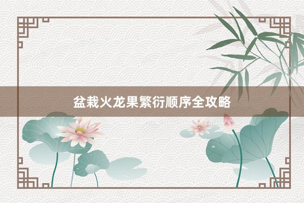 盆栽火龙果繁衍顺序全攻略